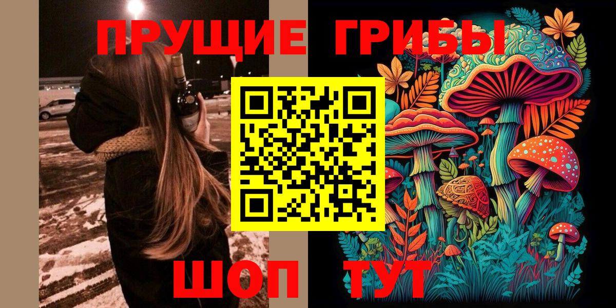 Псилоцибиновые грибы GOLDEN TEACHER  Вход с VPN  Псилоцибиновые грибы прущие грибы  Бузулук 